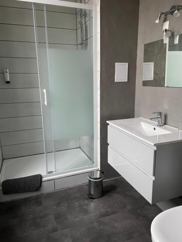 La salle de bains est pourvue d'une douche et d'un lavabo. dans l'établissement Maison Galland, à Lapalisse