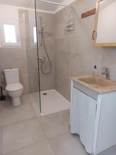 a bathroom with a shower and a toilet and a sink at Gîte Le Jasmin in Le Thor
