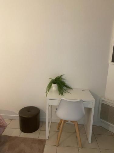 une table blanche avec une chaise et une plante sur elle dans l'établissement Super T2 Avec piscine Lyon 3ème, à Lyon