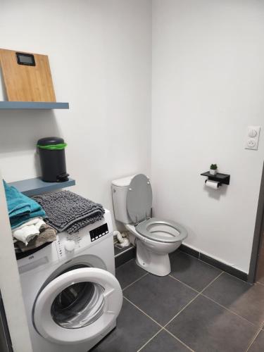 une salle de bain avec machine à laver et toilettes dans l'établissement Proche Avignon centre, jardin & climatisation 4pers, à Avignon