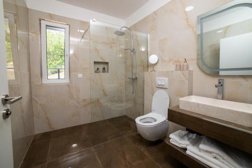 uma casa de banho com um WC, um lavatório e um chuveiro em White House Radac Peja em Peje