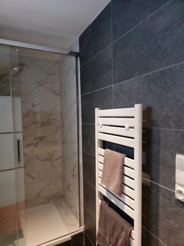 y baño con ducha y toallero eléctrico. en Charming Comfy Apartment in Amiens, en Amiens