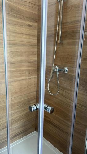 a shower with a glass door with a shower head at Mari & Monti Affittacamere in Sapri