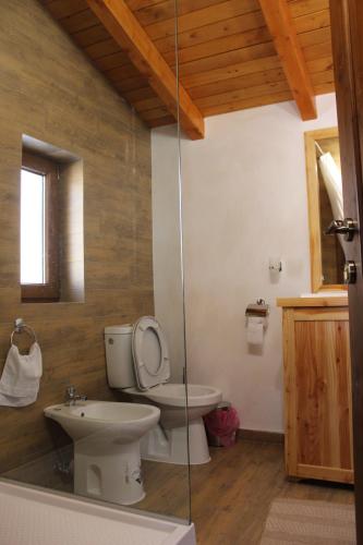 uma casa de banho com um WC e um lavatório em CABANA ZIMBRU em Băile Borşa
