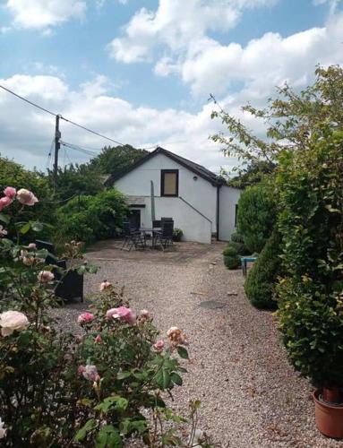 a small white house with a yard with flowers at Trelowen Cottage in Callington