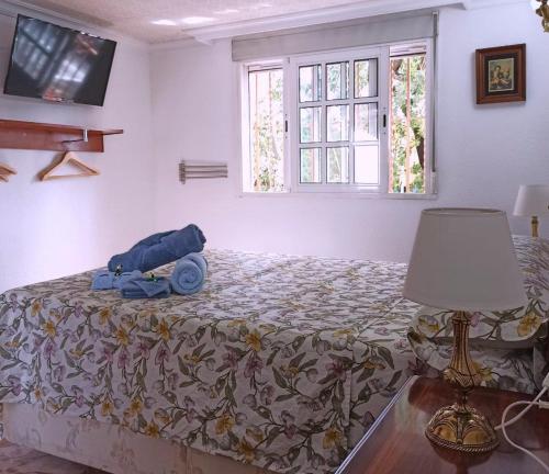 um quarto com uma cama, um candeeiro e janelas em El Azahar em Sevilha