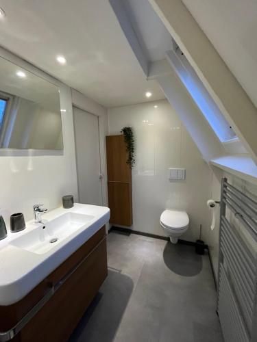 La salle de bains est pourvue d'un lavabo et de toilettes. dans l'établissement De Lodge, à Durbuy