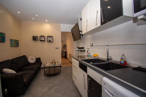 Il dispose d'une cuisine et d'un salon avec un canapé et un évier. dans l'établissement Cosy 1 BDR Kremlin-Bicêtre (2 min Porte d'Italie), au Kremlin-Bicêtre