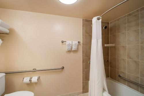 a bathroom with a shower and a toilet at Best Western Springfield in Springfield