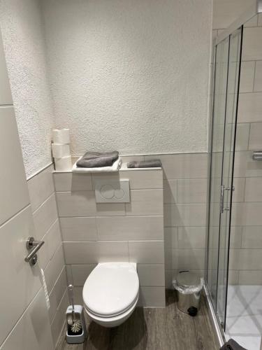 a bathroom with a toilet and a glass shower at Ferienhaus Kunz in Fehmarn