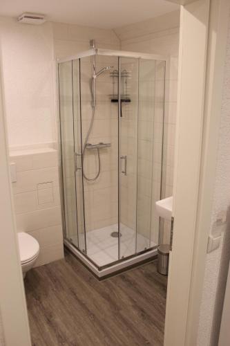 y baño con ducha y puerta de cristal. en Ferienhaus Kunz, en Fehmarn