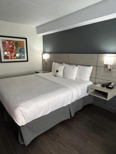 Postel nebo postele na pokoji v ubytování Quality Inn