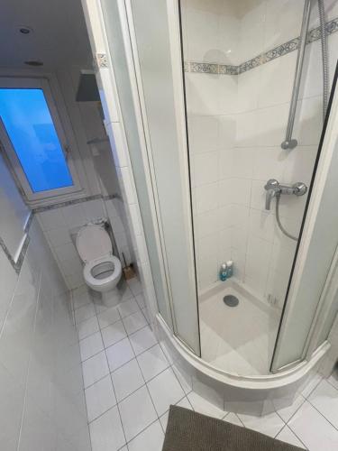 a bathroom with a shower and a toilet at Paris Centre Place Saint Michel in Paris