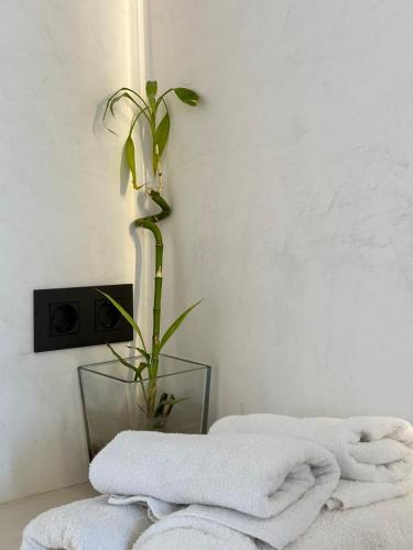 ABA Penthouse, PISCINA&AZOTEA PRIVADA
