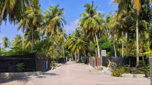 uma estrada de terra alinhada com palmeiras numa praia em Morus Bliss - Divers' Preferred Hotel em Maradhoofeydhoo