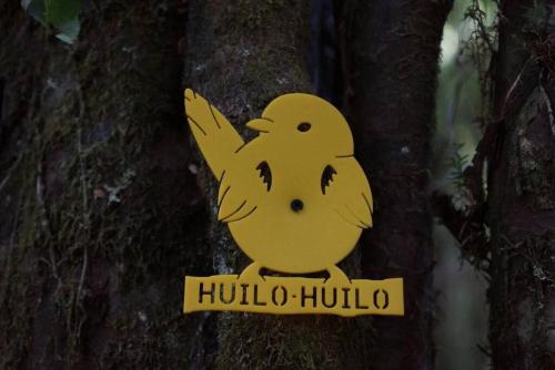 a yellow bird sign on the side of a tree at El Refugio de Hadas y Elfos in Puerto Fuy