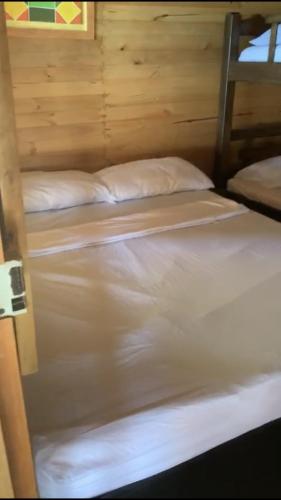 two twin beds in a room with wooden walls at WonderBeach Baru Raquel in Barú