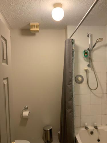 a bathroom with a shower and a toilet and a sink at Ocean view apartment in Galway