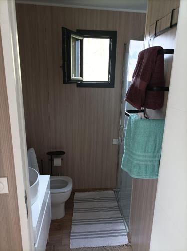 une salle de bain avec toilettes, lavabo et fenêtre dans l'établissement Massassi Plaza, à Cornimont