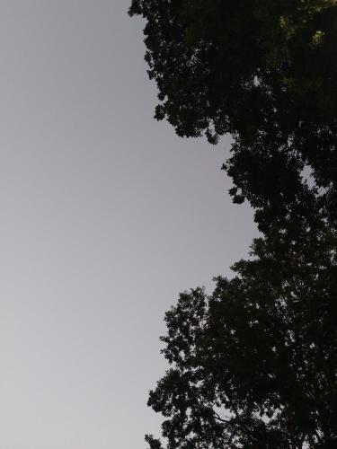 eine Gruppe von Bäumen gegen einen wolkigen Himmel in der Unterkunft Casa quinta en San Bernardino in San Bernardino