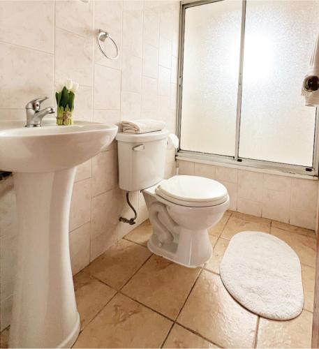 Hostal Feliza في فالديفيا: حمام ابيض مع مرحاض ومغسلة