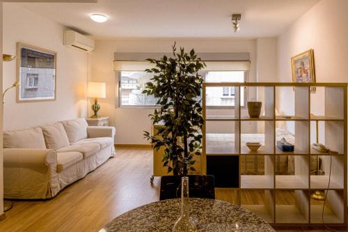 ein Wohnzimmer mit einem Sofa und einer Pflanze in der Unterkunft Bernabéu Loft Moderno in Madrid