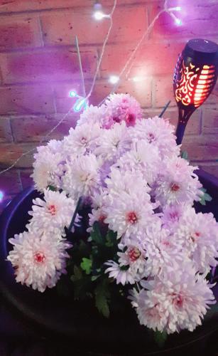 a bouquet of white flowers in a black bowl at Marina & Seagulls in East Cowes