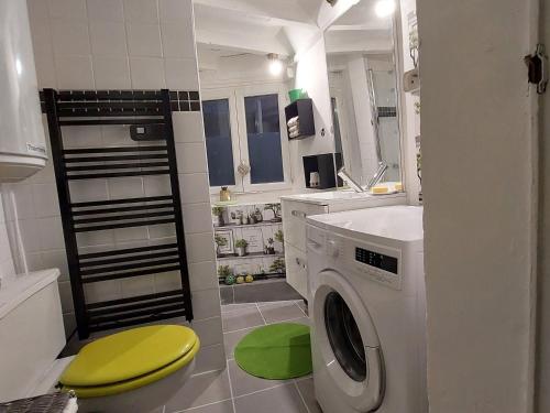 une salle de bain avec une machine à laver et un lavabo dans l'établissement Charmant gîte avec 2 chambres, cour partagée, Wifi et animaux acceptés - FR-1-586-14, à Vailly-sur-Sauldre