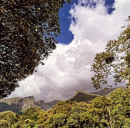 una vista de las montañas desde entre dos árboles en Casa da Vó Bia, en Caparaó Velho