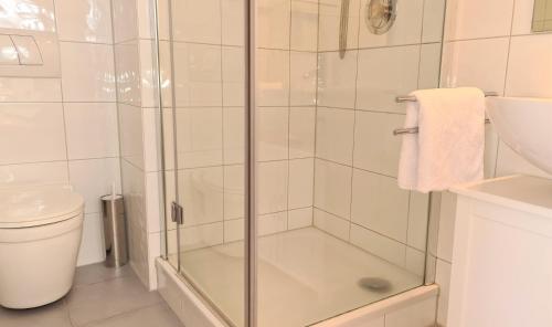 y baño con ducha y puerta de cristal. en Gästehaus Sieger-Brandner Apartment im Gästehaus Sieger-Brandner, en Ramsau