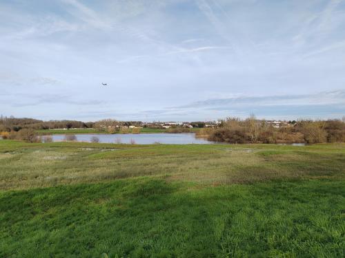 un champ d'herbe avec une masse d'eau dans l'établissement Lovelyottoman in Paris, à Longjumeau