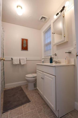 a bathroom with a toilet and a sink and a mirror at Single family,3 bed, 3 bath,Harvard, MIT,hospitals in Cambridge