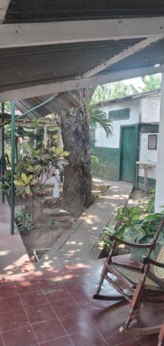 an outdoor patio with a chair and a tree at Ortiz Hospedaje Ometepe in Altagracia