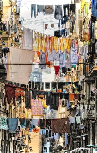 MARVIT CENTRAL LUXURY photo 42