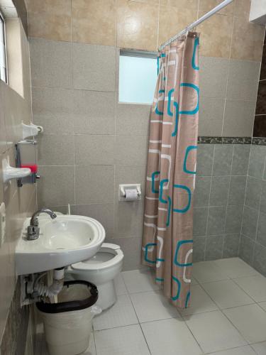 サン・フアン・デル・リオにあるHotel Villa 12のバスルーム(トイレ、シャワーカーテン付)