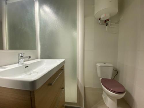 une salle de bain avec un lavabo blanc et des toilettes dans l'établissement Studio proche des thermes, bien équipé, animaux admis, stationnement à proximité - FR-1-503-124, à Balaruc-les-Bains