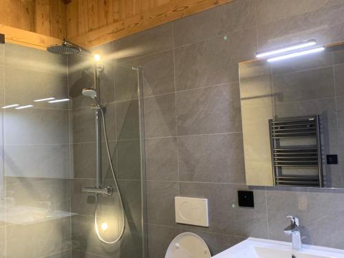 une salle de bain avec douche, toilettes et miroir dans l'établissement Chalet spacieux avec jacuzzi, sauna et WiFi aux Gets - FR-1-671-260, aux Gets