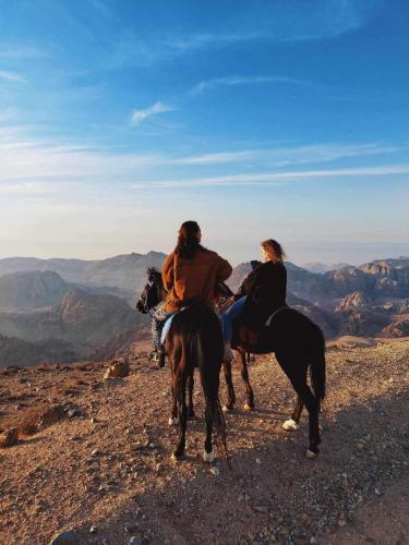 two people riding horses on top of a mountain at Petra Desert Dream Hotel in Wadi Musa
