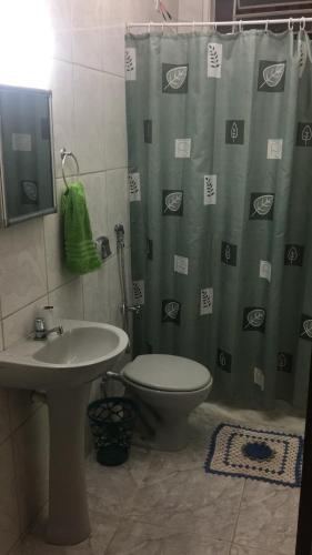een badkamer met een douchegordijn, een toilet en een wastafel bij Chácara Flor do Campo in Leopoldina