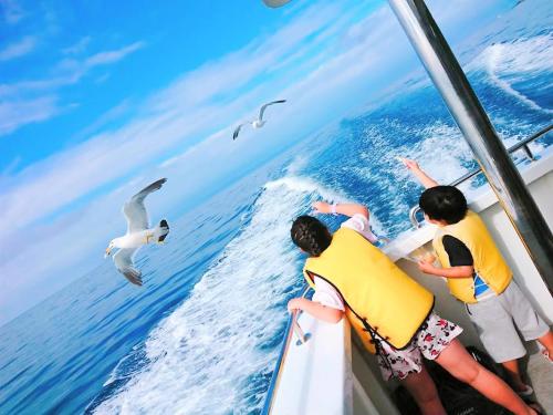 3 personnes sur un bateau qui regarde les oiseaux dans l'eau dans l'établissement フロアー貸切民泊太田3号館, à Kita-hamachō