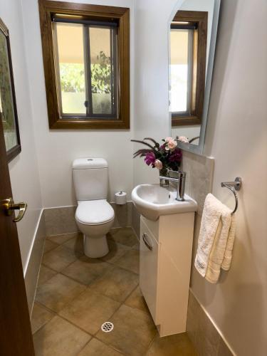 a bathroom with a toilet and a sink at Barossa Garden Homestay in Williamstown