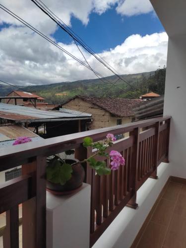 a balcony with a potted plant and a view at Yaku Wasi in Leimebamba