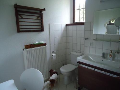 uma casa de banho com um WC branco e um lavatório. em in the musicians' quarter em Radebeul