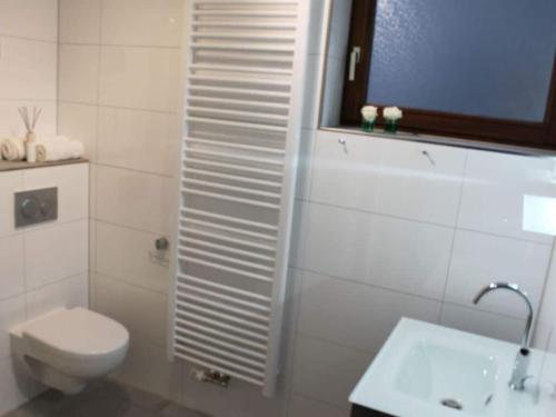 een witte badkamer met een toilet en een wastafel bij Holiday home Blumenhain in Bad Wünnenberg