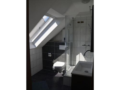 a bathroom with a toilet and a sink and a skylight at Halfenschänke Modern retreat in Piesport