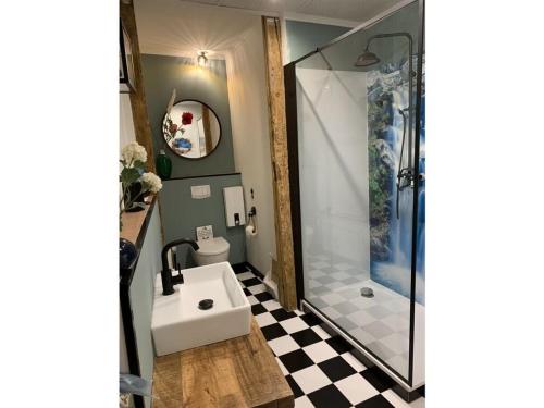 ein Bad mit einem Waschbecken und einer Dusche in der Unterkunft CATHEDRAL WHISPERS Modern retreat in Schwerin
