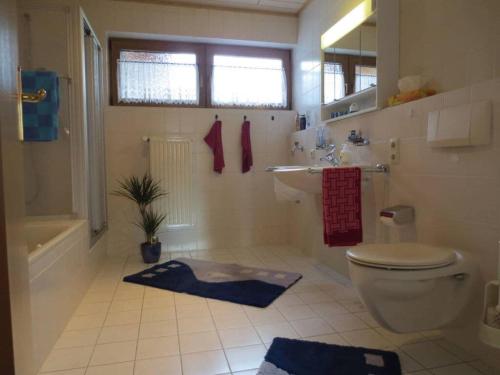 uma casa de banho com um WC e um lavatório em Kläs Haus Eifelsonne 