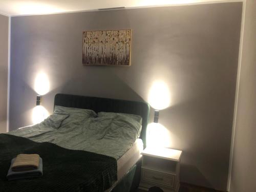a bedroom with a bed and two lights on two tables at Joy in Oradea