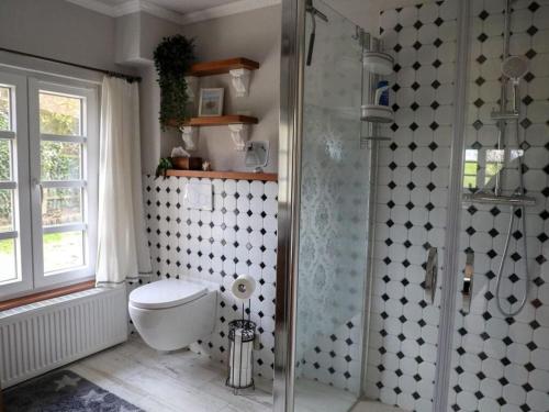 y baño con aseo y ducha. en Haus Am Deich Modern retreat, en Cadenberge
