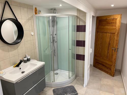 ein Bad mit einer Dusche, einem Waschbecken und einem Spiegel in der Unterkunft Appart in Rougemont